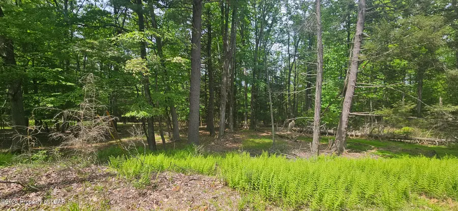 EA Lot 247 Algonquin Drive, Hazleton, PA 18202 - #3