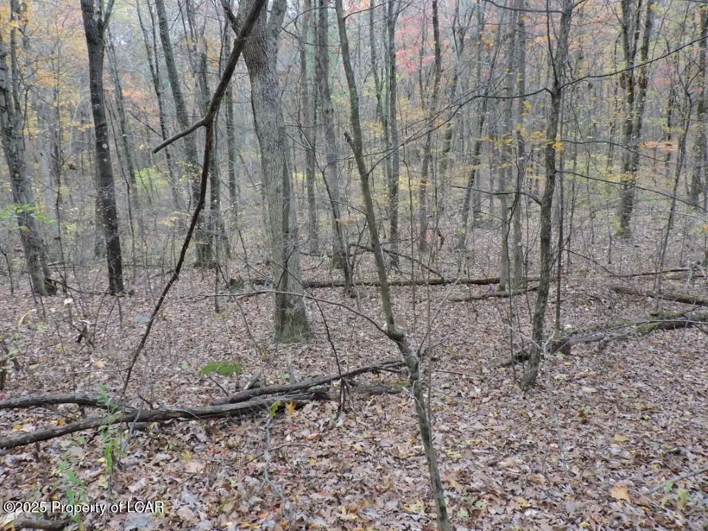 Lot 18 Tomko Avenue, Hanover Township, PA 18706 - Image #1