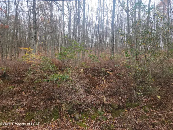 1210 Woodhaven Drive, White Haven, PA 18661