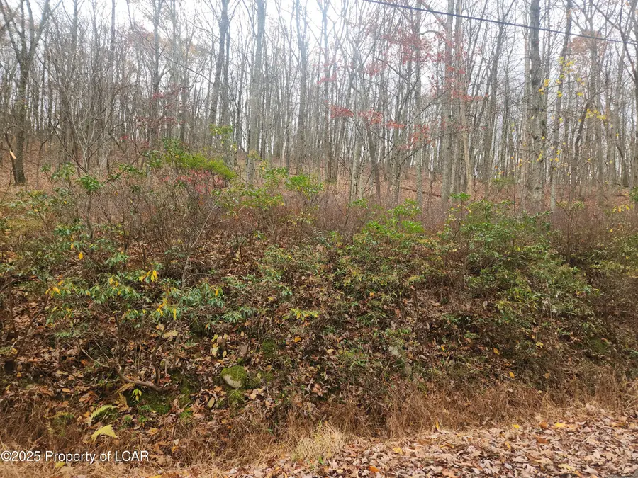 1210 Woodhaven Drive, White Haven, PA 18661 - Image #2