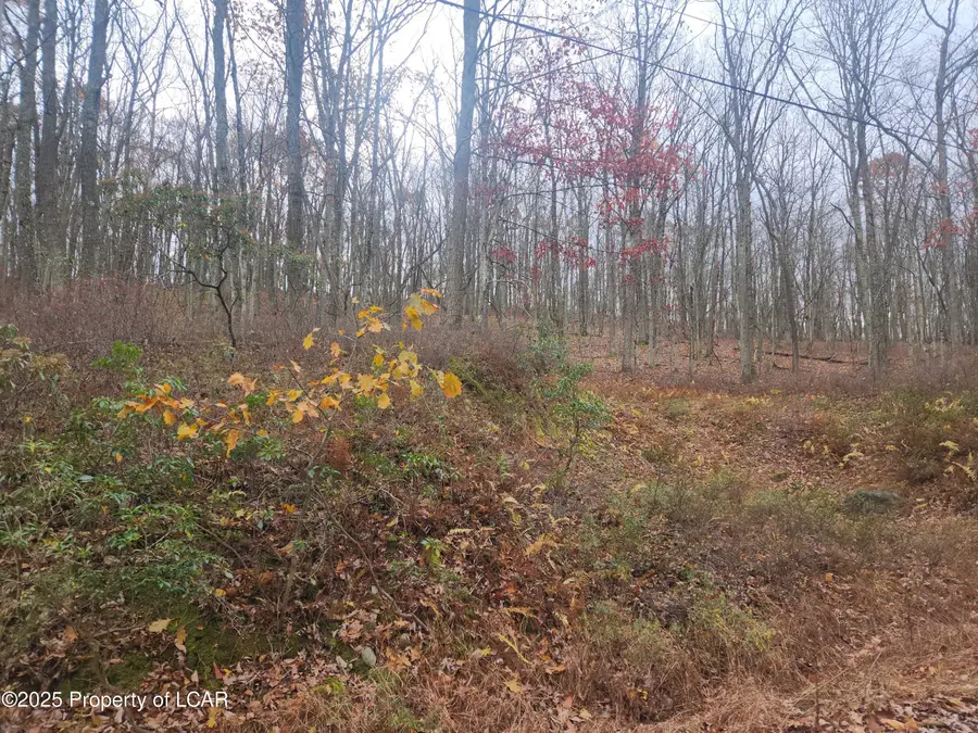 1210 Woodhaven Drive, White Haven, PA 18661 - Image #3