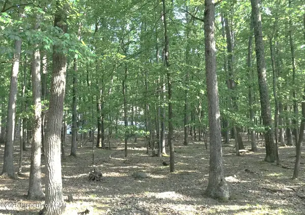 JA Lot 192 Muskegon Circle, Hazle Twp, PA 18202