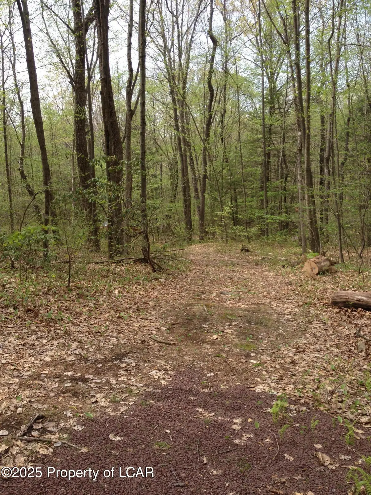 Adj Tomko, Hanover Township, PA 18706 - Image #1