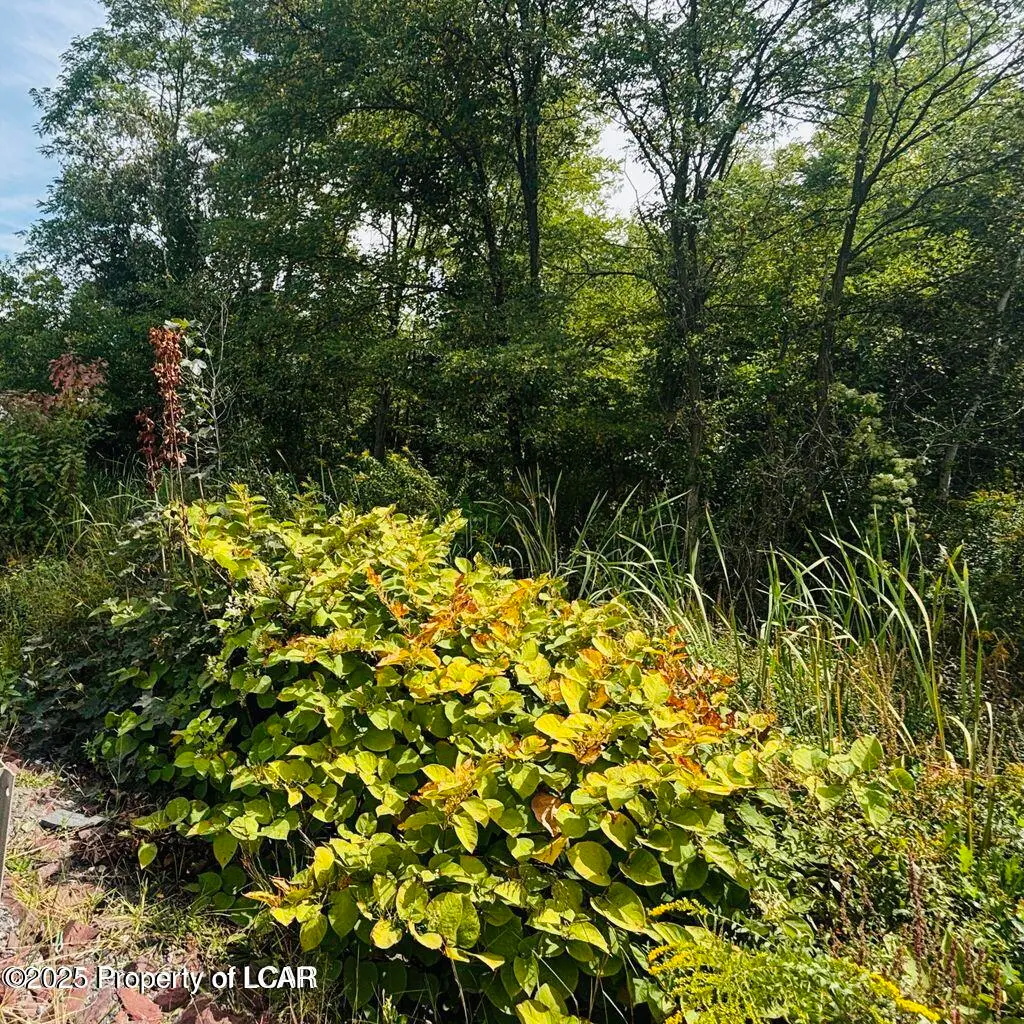 Pittston By Pass, Pittston, PA 18640 - Image #1