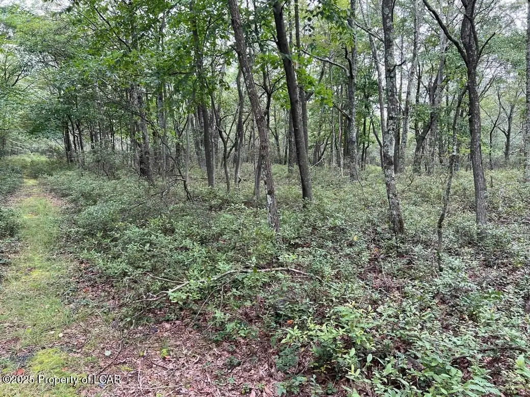 Stockton Mountain Road, Hazle Township, PA 18202 - Image #1