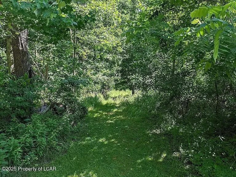 308 Small Mountain Road, Wapwallopen, PA 18660 - Image #3