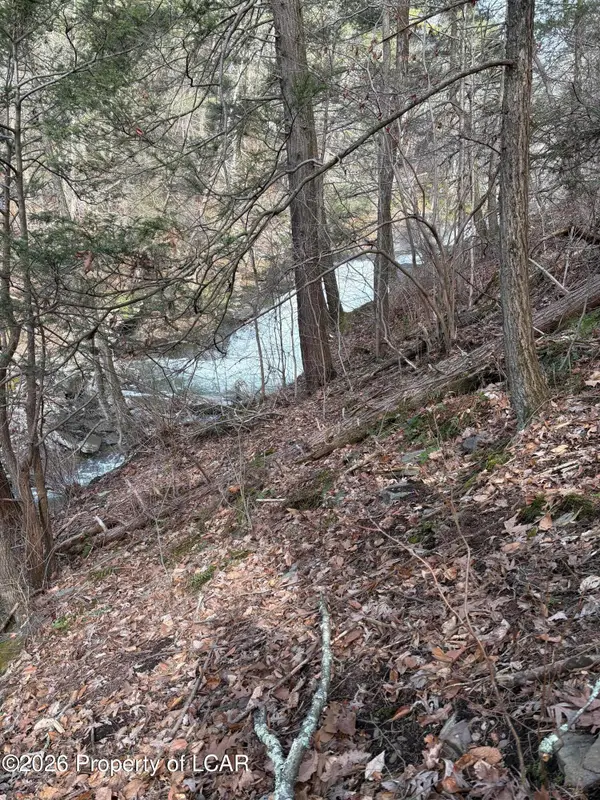 Main Road, Hunlock Creek, PA 18621