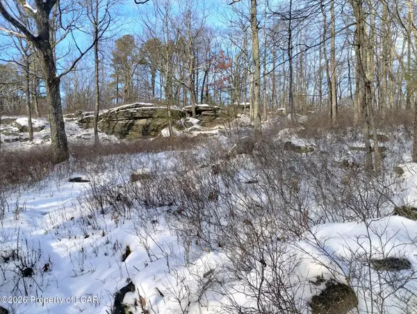 WSS130 Peace Pipe Drive, Hazleton, PA 18202