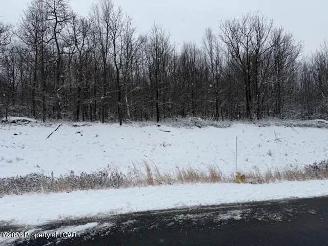 221 Buck Mountain Boulevard, Hazle, PA 18202 - #1