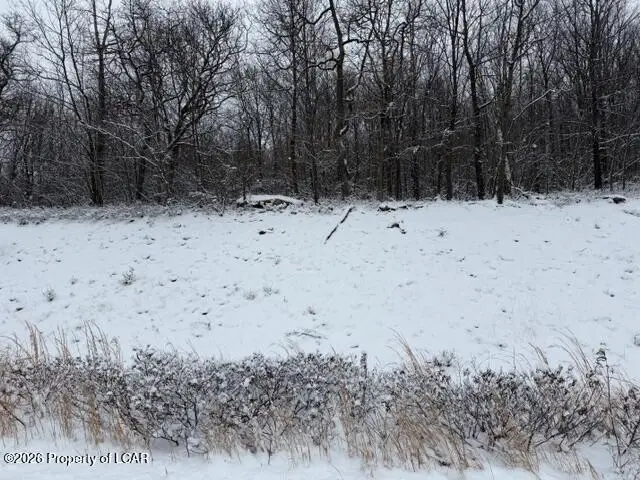 221 Buck Mountain Boulevard, Hazle, PA 18202 - #3