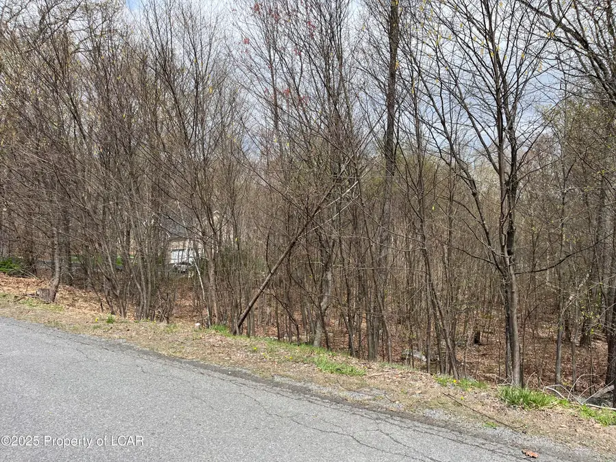 31 Mountain Side Drive, Sugarloaf, PA 18249 - #2