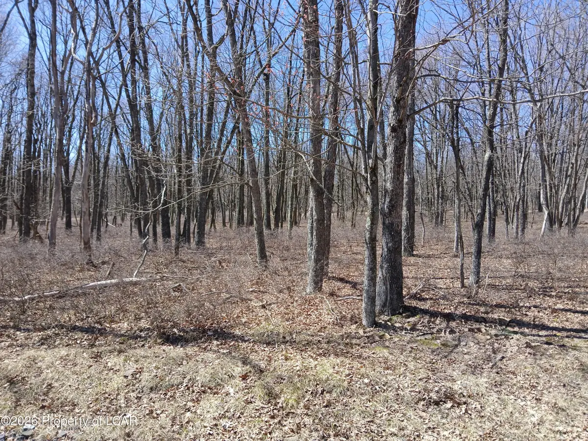 108 Sweet Birch Drive, Hazle, PA 18202 - #1