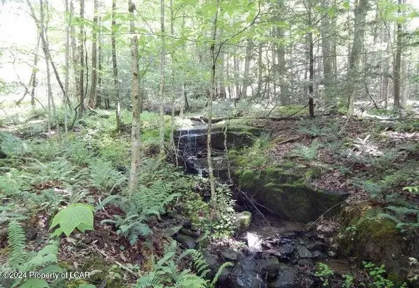 1 & 2 Sparrow Road, Harveys Lake, PA 18618