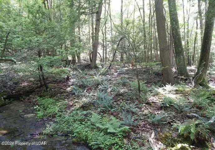 1 & 2 Sparrow Road, Harveys Lake, PA 18618 - #3