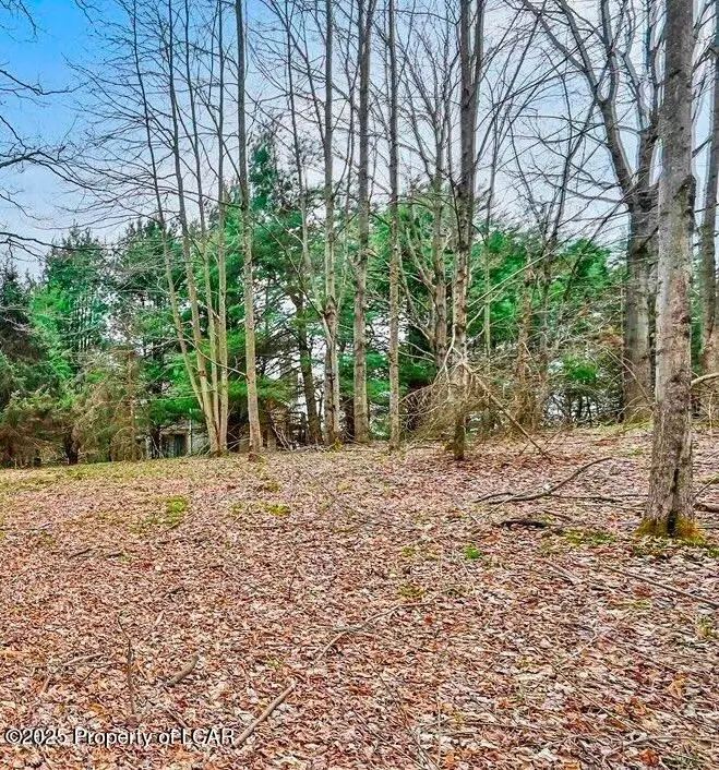 838 Wildwood Terrace, The Hideout, PA 18427 - #2