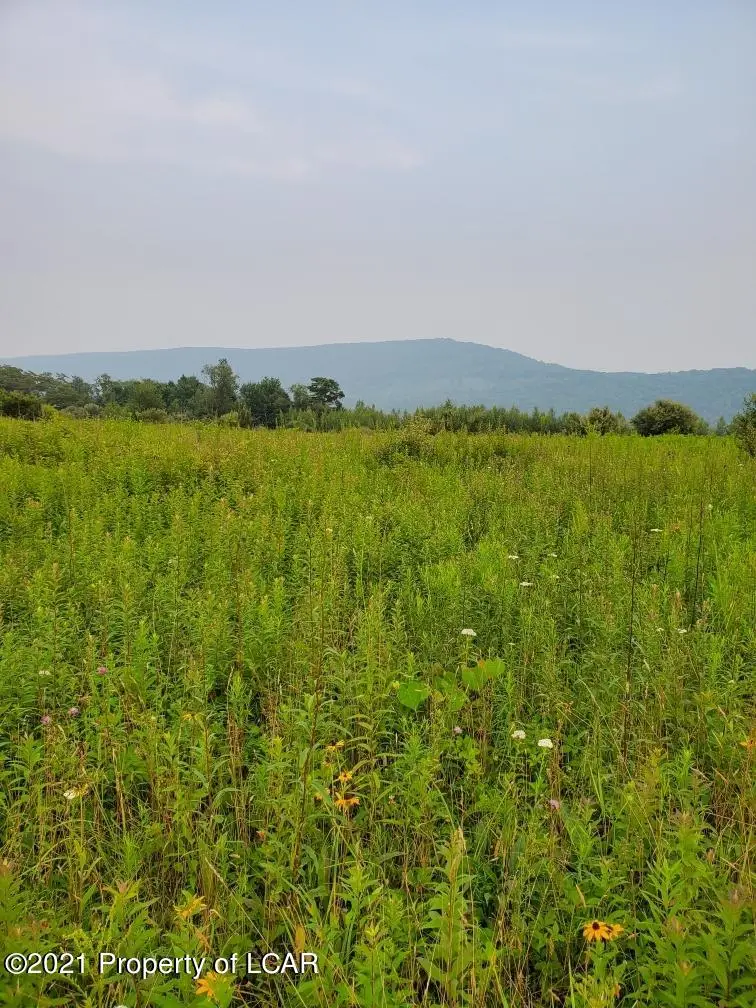 St Johns Road, Drums, PA 18222 - #1