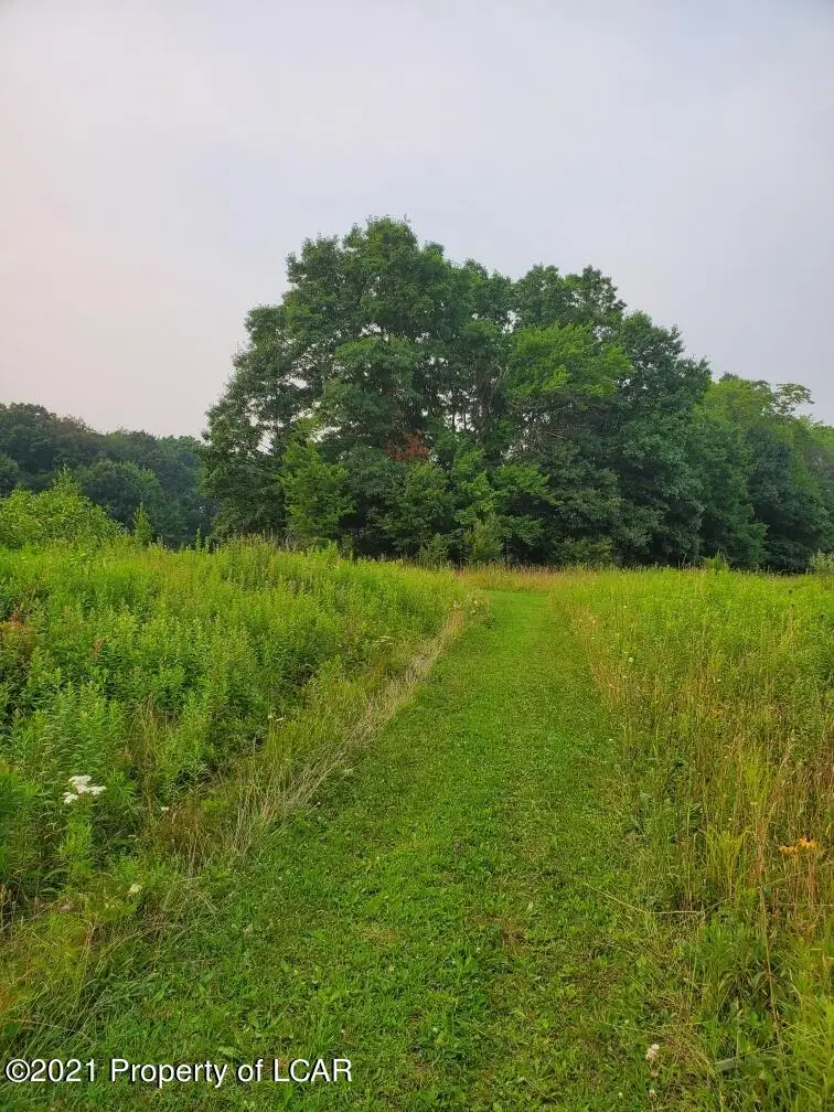 St Johns Road, Drums, PA 18222 - #3