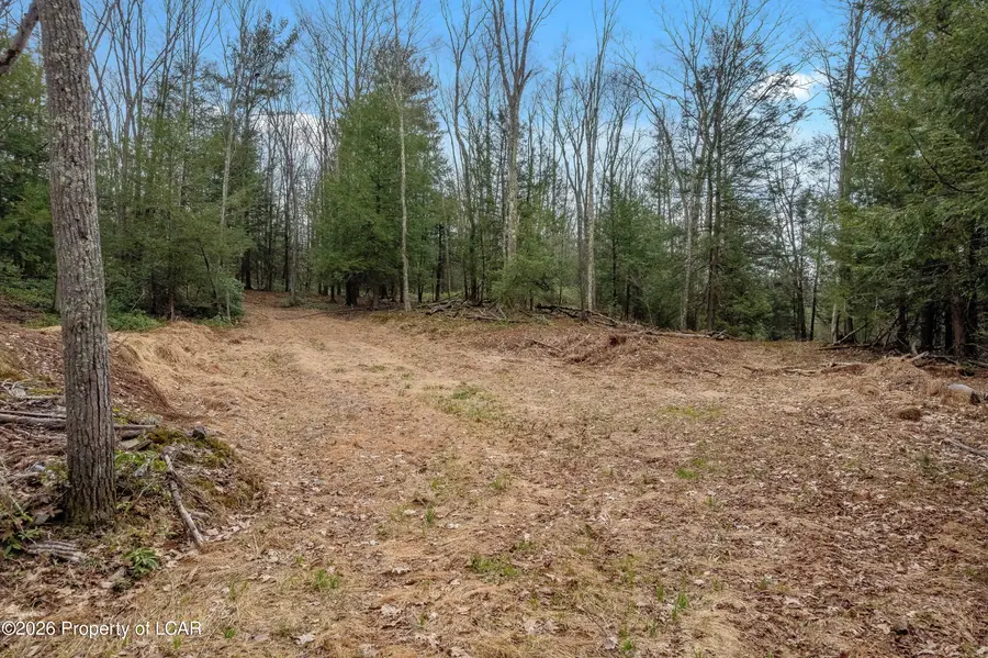 937 Mooretown Road, Sweet Valley, PA 18656 - #2