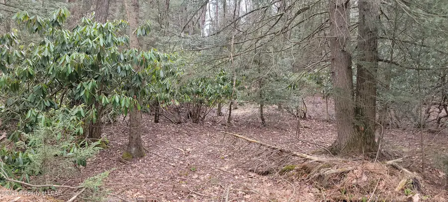 Tapuco Drive, Albrightsville, PA 18210 - #3