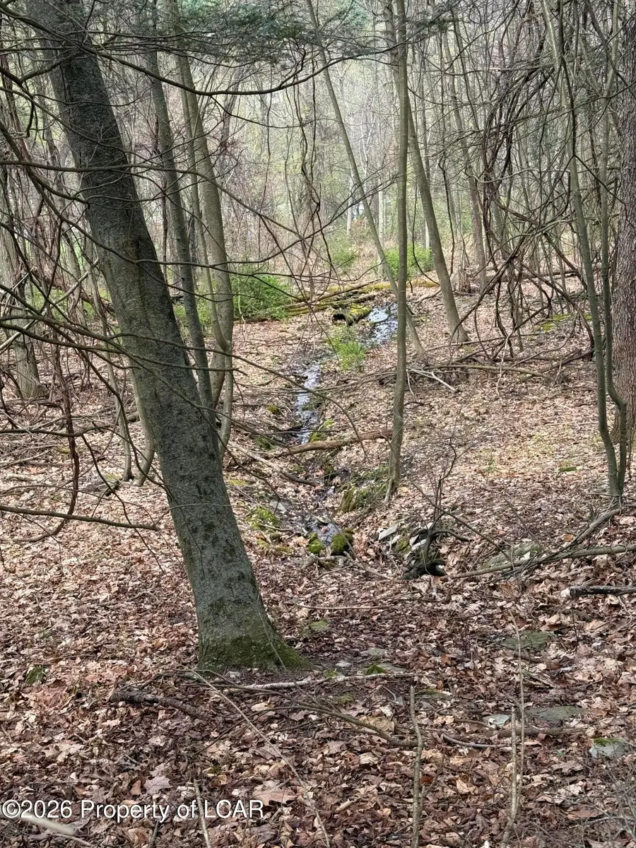 Kitchen Lane, Harding, PA 18643 - #2