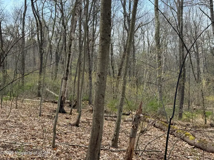 Kitchen Lane, Harding, PA 18643 - #3