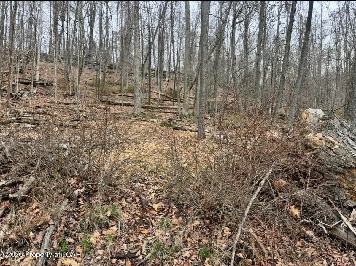 Kitchen Avenue, Harveys Lake, PA 18618 - #1