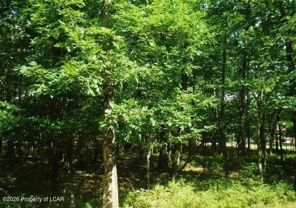 JAE Lot132 Kickapoo Drive, Hazle Twp, PA 18202
