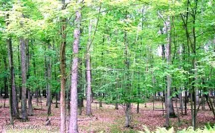 E Lot 099 Chestnut Drive, Hazleton, PA 18202
