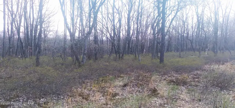 ERII 398 Crooked Stick Lane, Hazleton, PA 18202 - #2