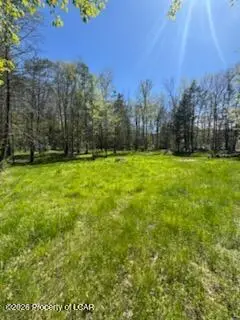 Oak Drive, Drums, PA 18222 - #1