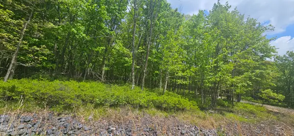 LV Lot 052 Crnr Mountain Laurel & Dogwood Drive, Hazle Twp, PA 18202
