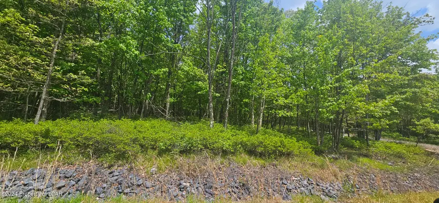 LV Lot 052 Crnr Mountain Laurel & Dogwood Drive, Hazle, PA 18202 - #3