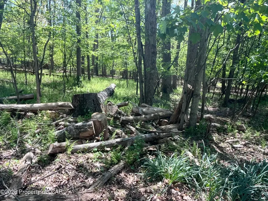 Henry Drive, Mountain Top, PA 18707 - #2