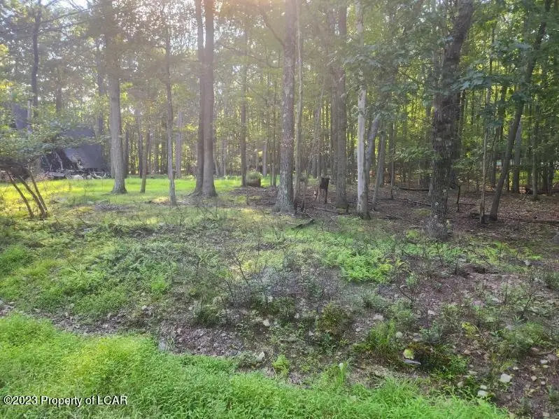 Lot 004 Vacation Drive, White Haven, PA 18661 - #1