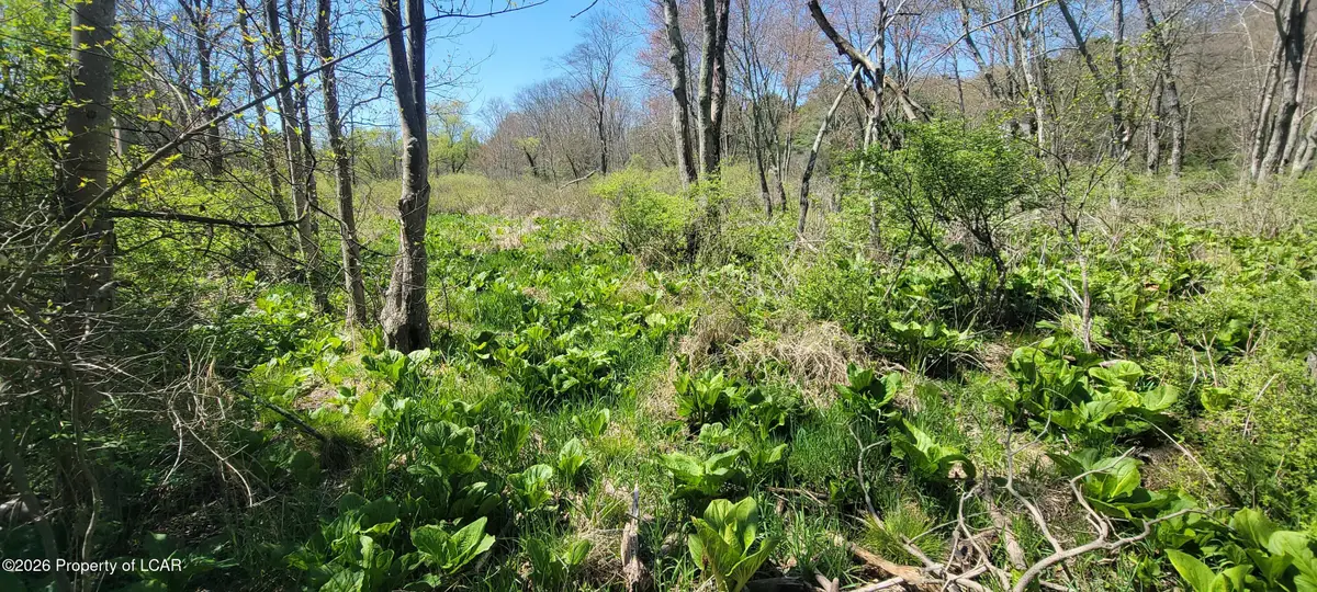Lower Demunds Road, Dallas, PA 18612 - #1