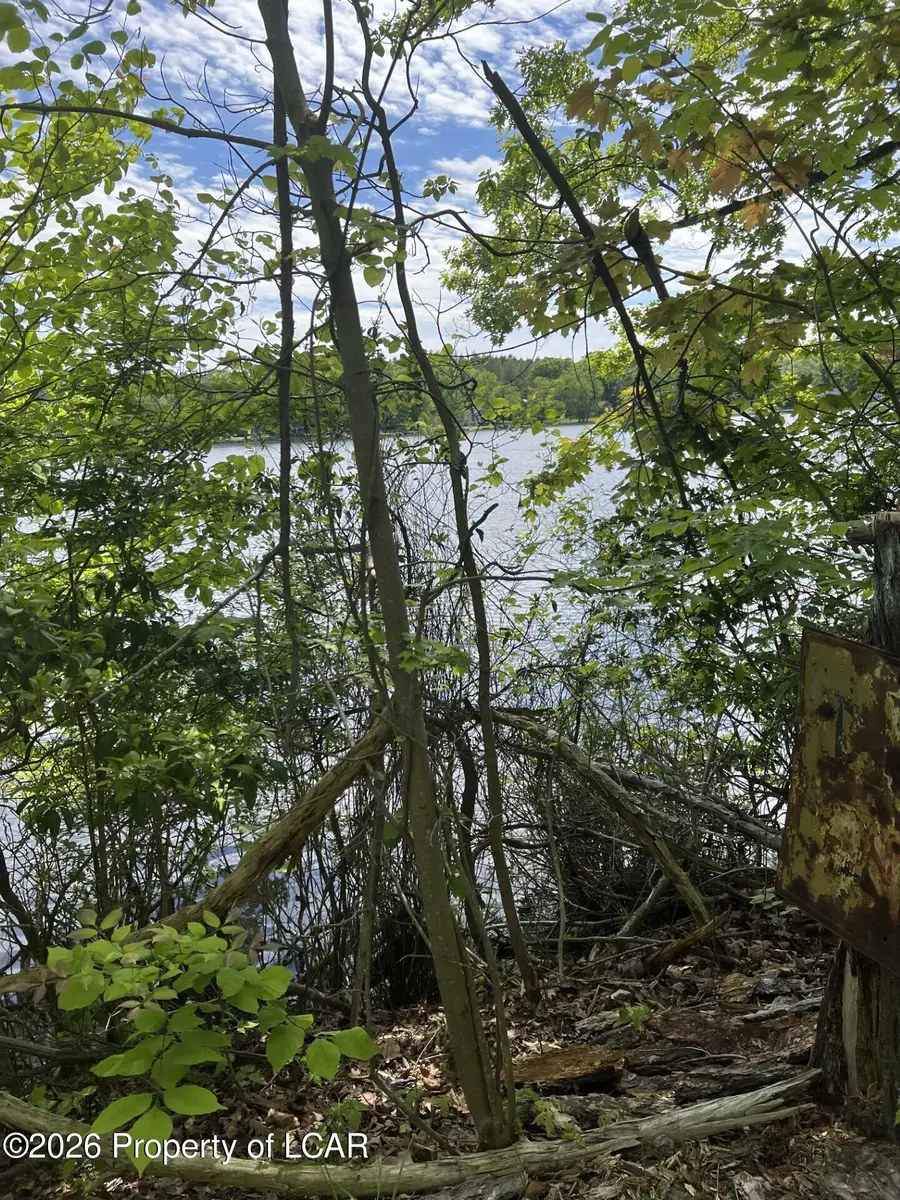 Lot 00 Lakeview Drive, Sweet Valley, PA 18656 - #2