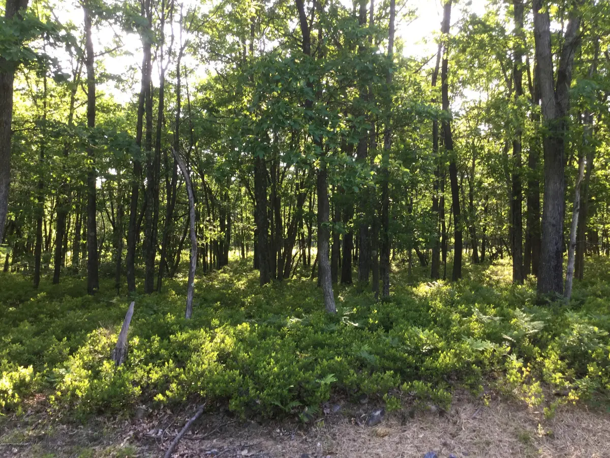 TW Lot 107 Sweet Birch Drive, Hazle, PA 18202 - #1