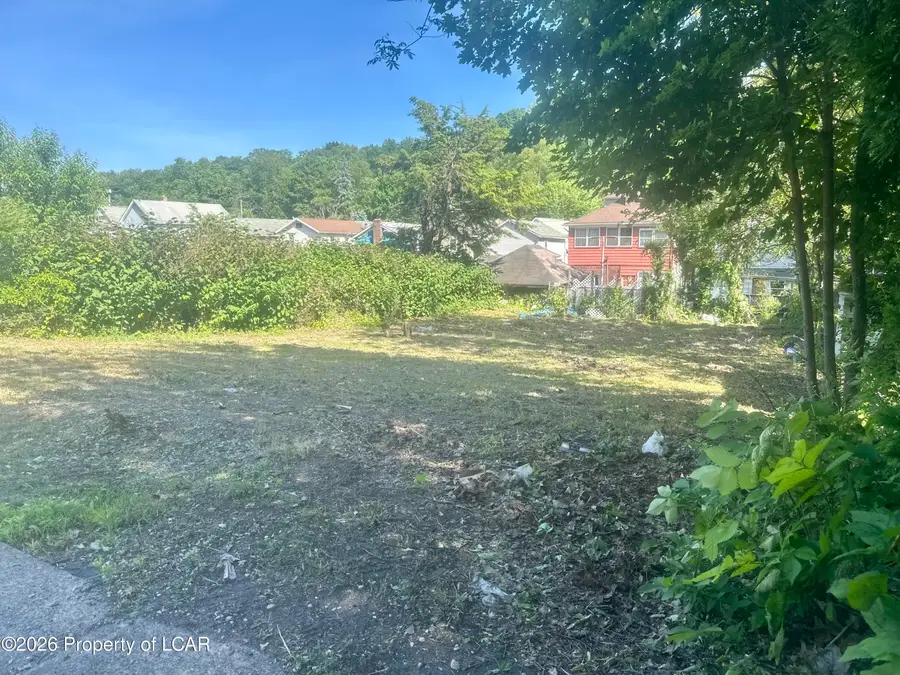 307 River Street, Wilkes Barre, PA 18702 - #2
