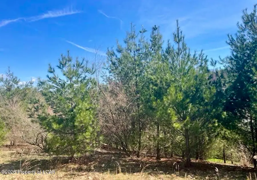 Lot 29 Orchard Lane, Dallas, PA 18612 - #2