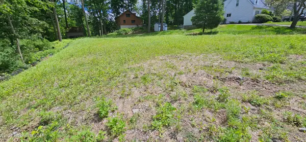 Birch, Dallas, PA 18612