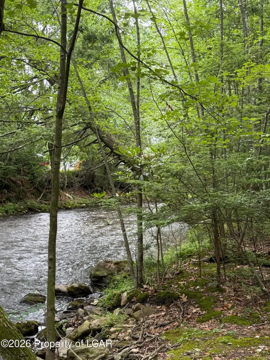 Old Turnpike Rd, Drums, PA 18222 - #3