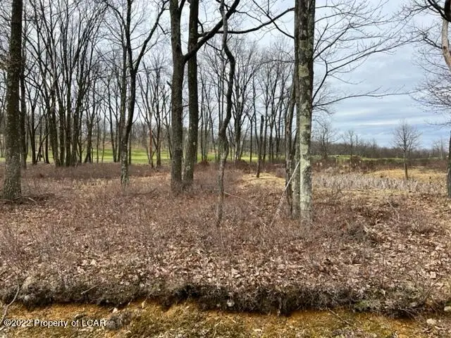 431 Honeysuckle Drive, Hazle Township, PA 18202 - Image #1