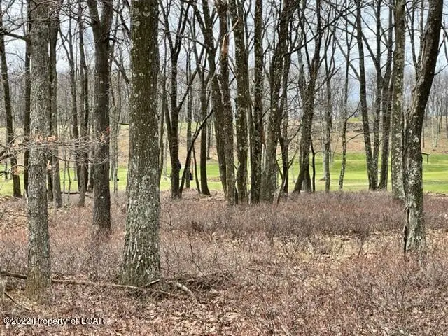 431 Honeysuckle Drive, Hazle Township, PA 18202 - Image #3