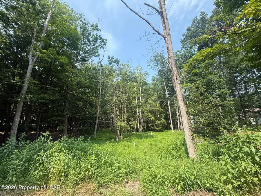 62 Trapper Spring Circle, Beech Mountain Lakes, PA 18222 - #2