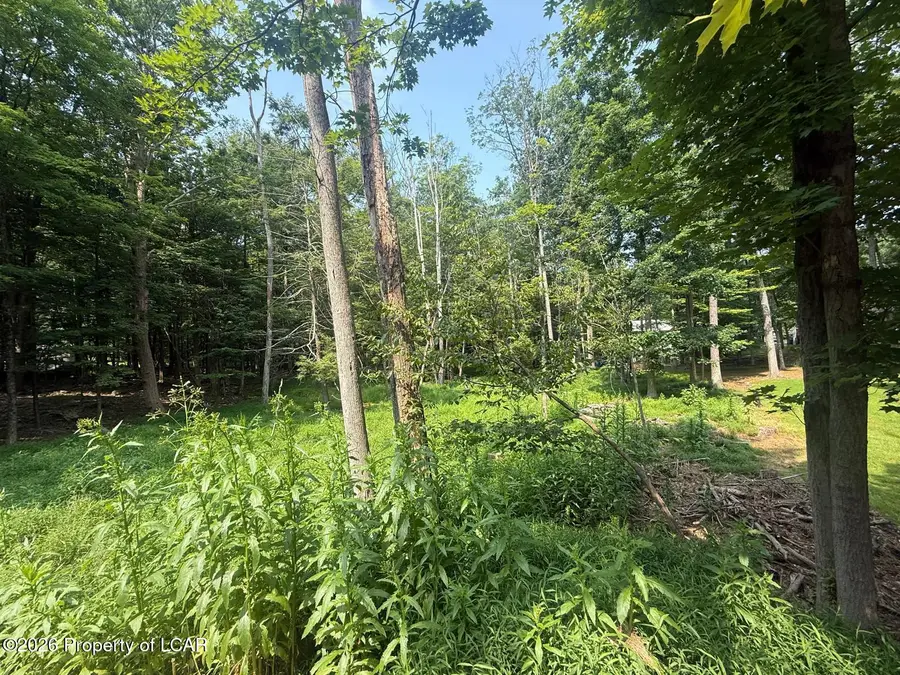 62 Trapper Spring Circle, Beech Mountain Lakes, PA 18222 - #3