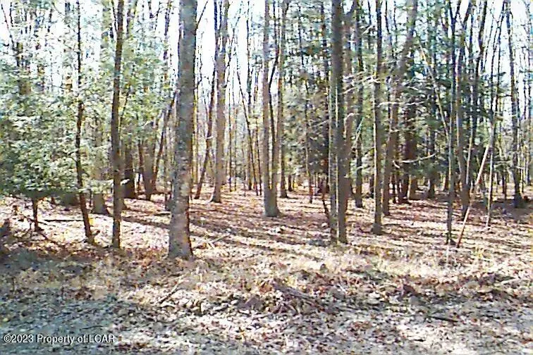 AW Lot 114 Arapahoe Lane, Hazleton, PA 18202 - #2