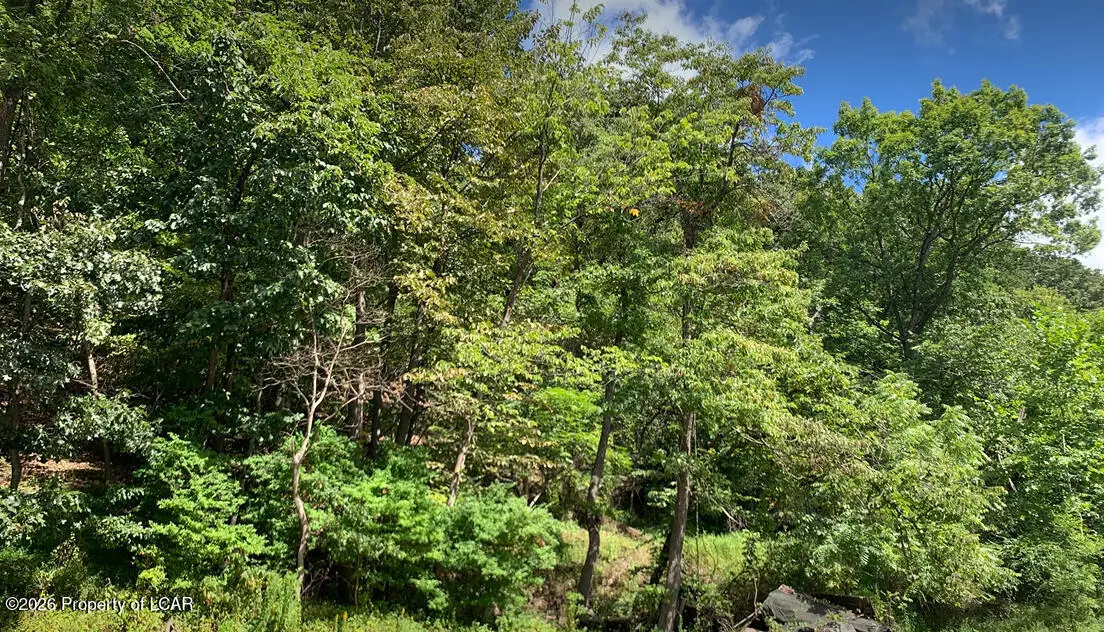 139 State Route 11, Hunlock Creek, PA 18621 - #1