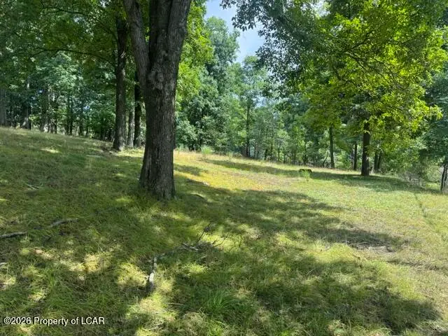 Vacant lot Center Hill Road, Dallas, PA 18612 - #2