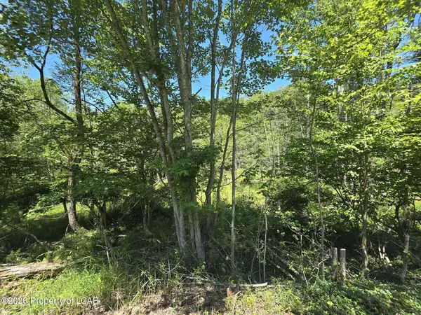 2nd Street, Harveys Lake, PA 18618
