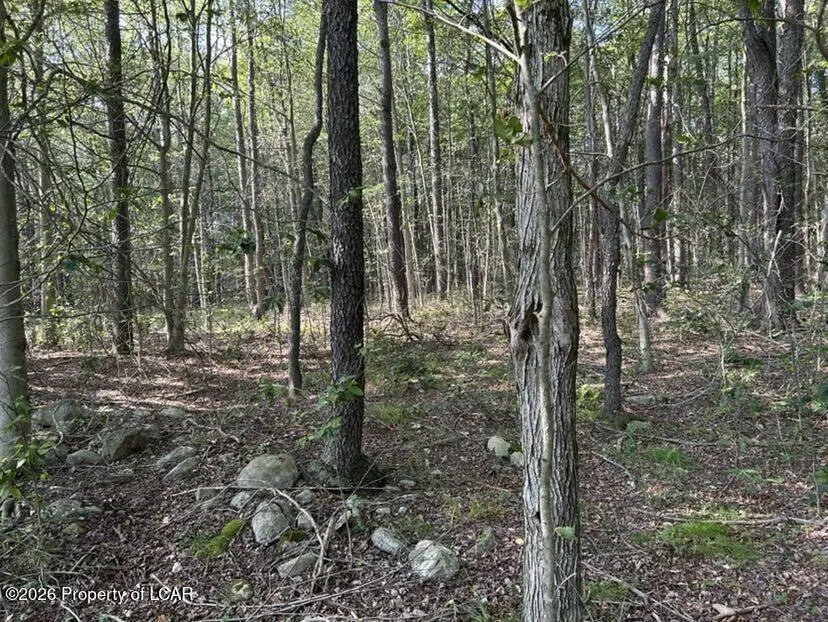 Bellasylva Road, Forkston, PA 18614 - #1